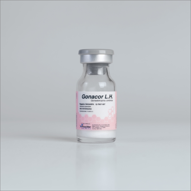Gonacor LH